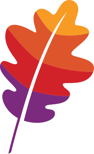 Apache software foundation icon