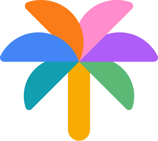 Google palm