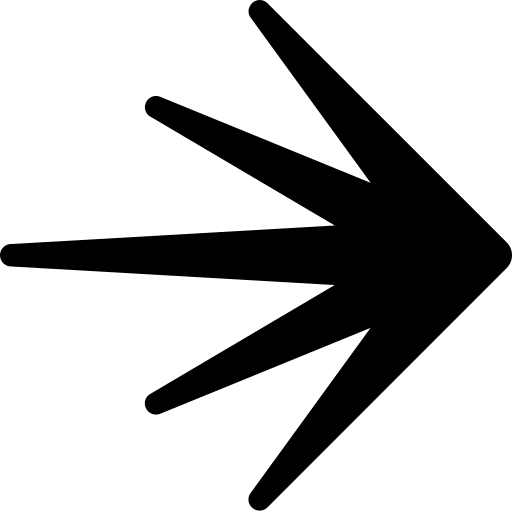 Launchdarkly icon