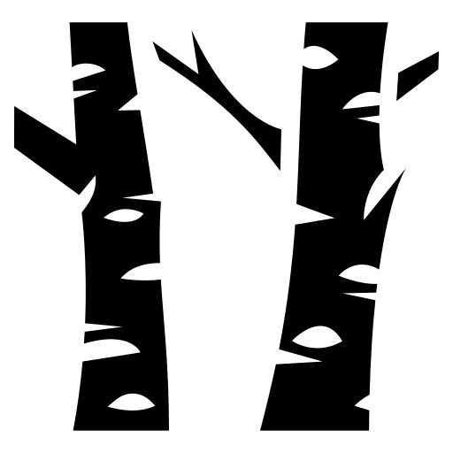 Березы