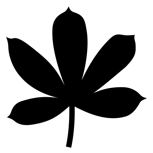 лист каштана