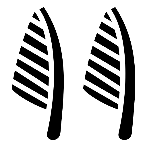 Иероглиф y