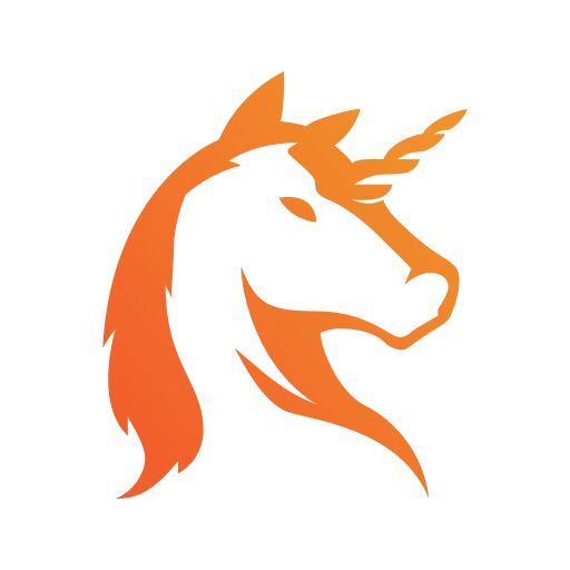 DSRUN