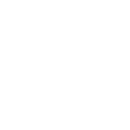 FLAME